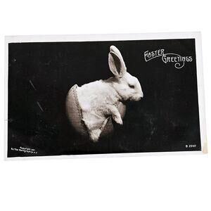 1907 Antique Easter Postcard Real Photo RPPC Card White Bunny Rabbit Posted